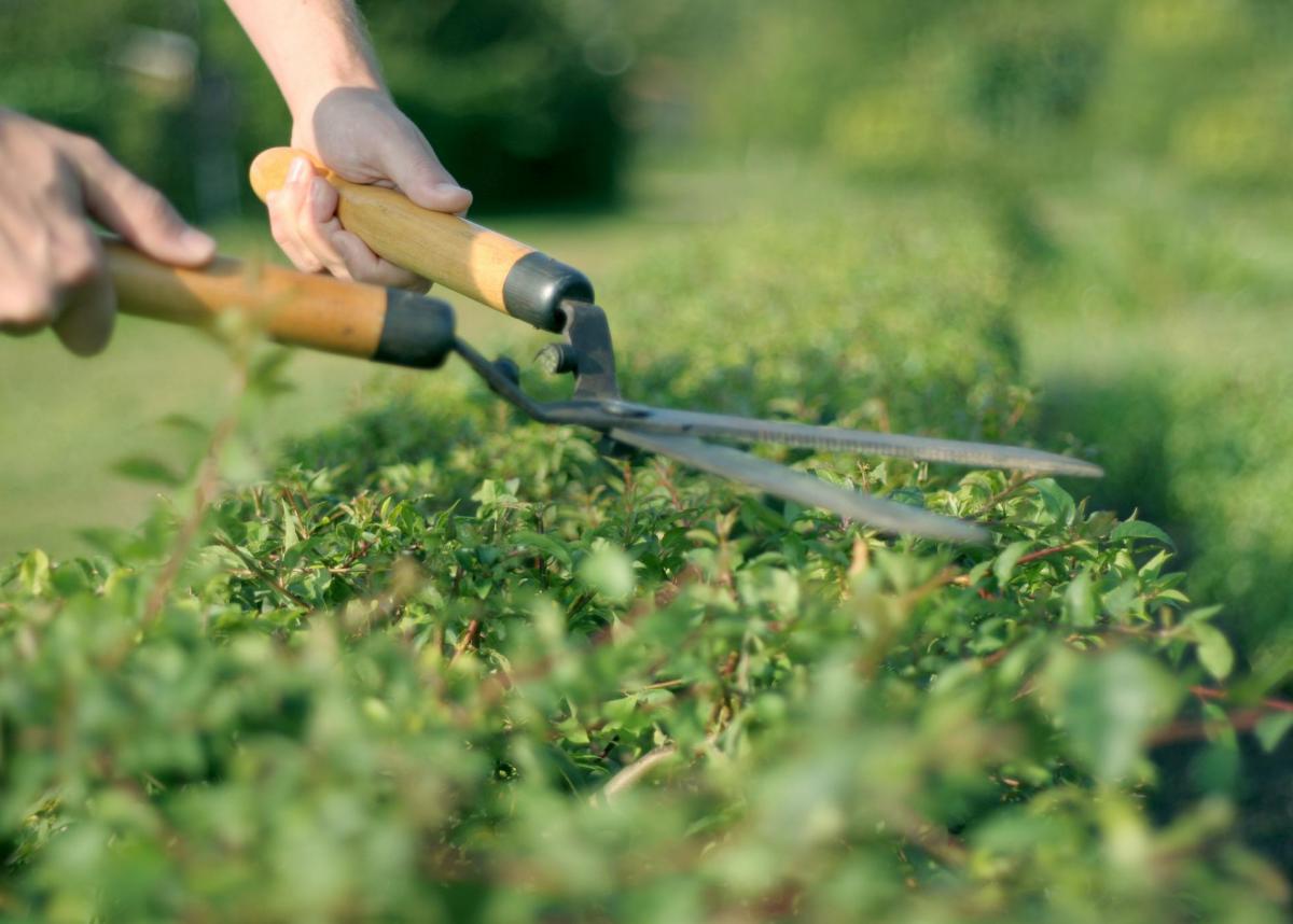 shutterstock 13515577 1 1200x858