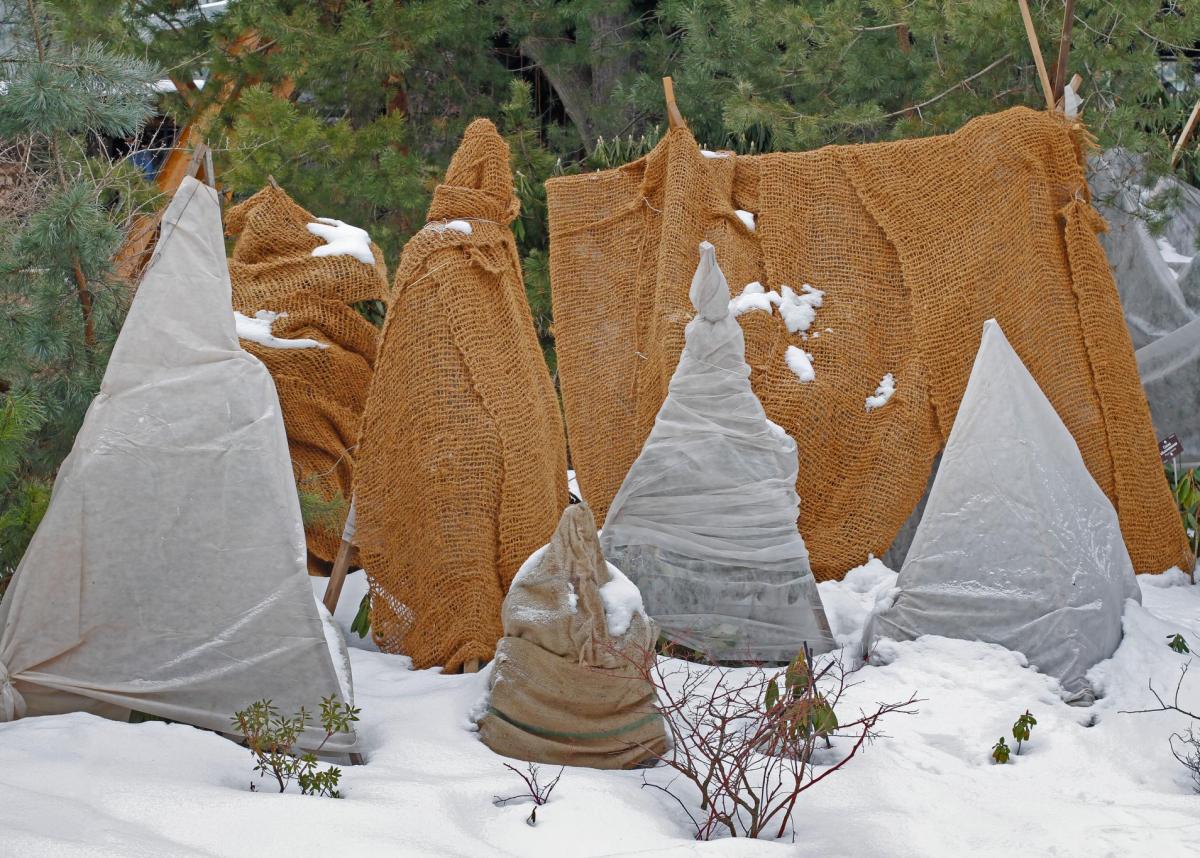 Méthode de protection pour passer l'hiver - Blog équip'jardin