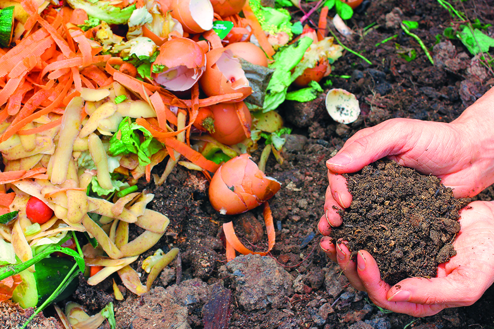 Le compostage de surface : une meilleure façon de composter - Jardin Pro -  Centre jardin, entretien et aménagement paysager