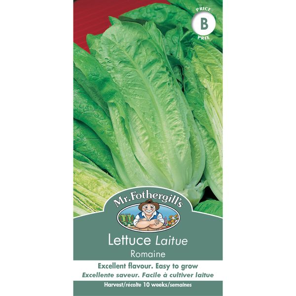 11811 lettuce romaine
