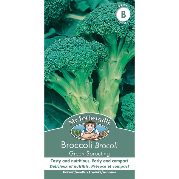 12005 broccoli green sprouting