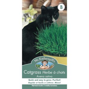 12756 catgrass