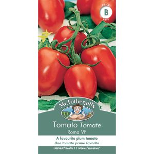 16575 tomato roma vf