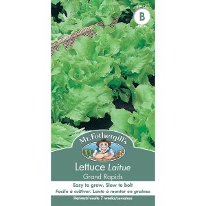16872 lettuce grand rapids