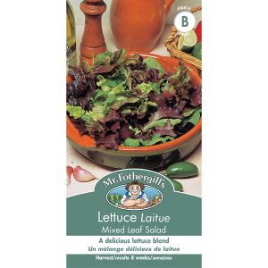 17440 lettuce mixed leaf salad