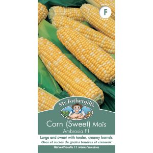 18199 corn sweet ambrosia