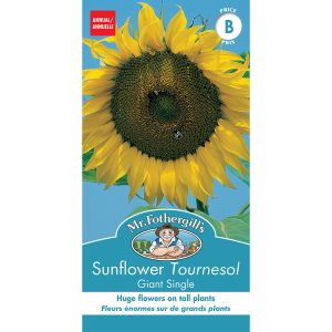 19658 sunflower giant single