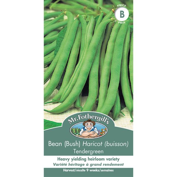 19817 bean bush tendergreen