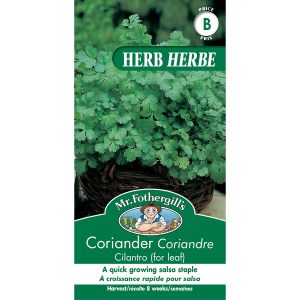 21894 coriander cilantro for leaf