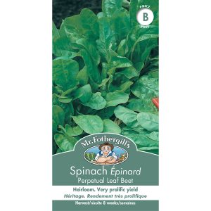 22709 spinach perpetual leaf beet