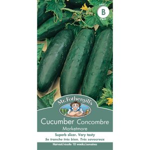 23774 cucumber marketmore
