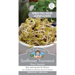 35442 sunflower sprouting seeds