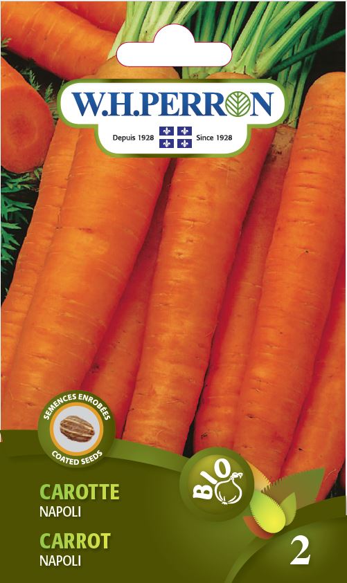 69 1815 carotte napoli
