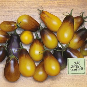 seme saveurs pic tomates poires indigo pear drops f1 jaune