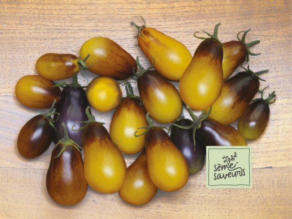 seme saveurs pic tomates poires indigo pear drops f1 jaune