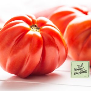 seme saveurs tomates rouges beefsteak