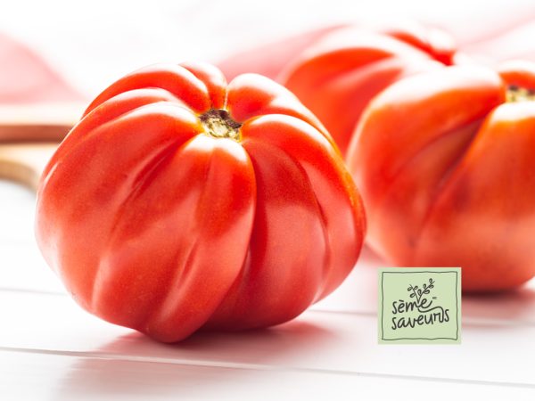 seme saveurs tomates rouges beefsteak