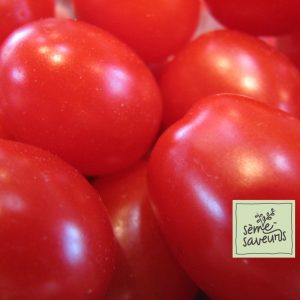 seme saveurs tomates rouges italienne san marzano