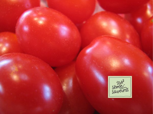 seme saveurs tomates rouges italienne san marzano