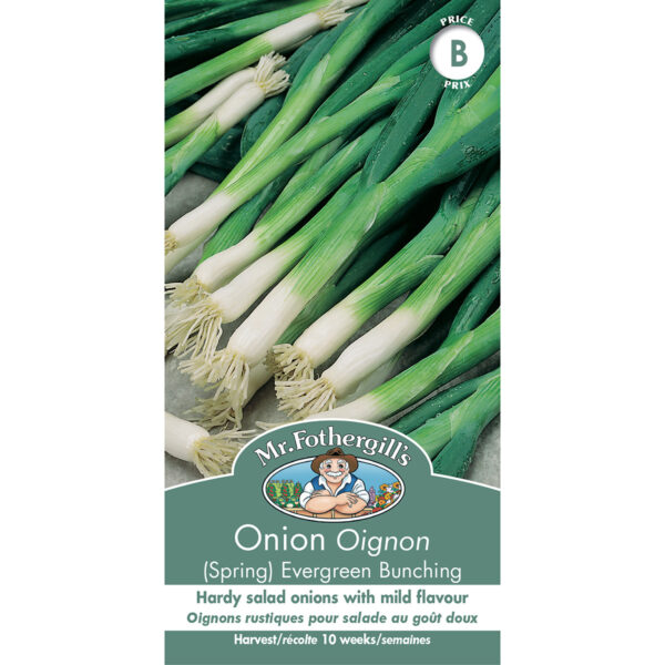 18377 onion spring evergreen bunching