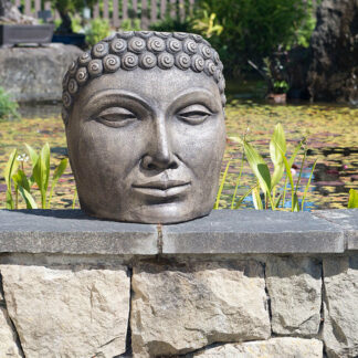 buddah face medium castart