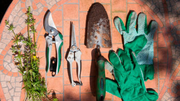 service entretien outils jardin pro