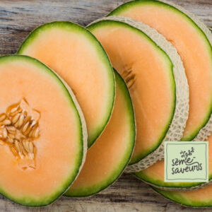 seme saveurs melons cantaloup