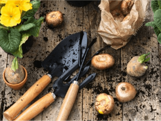 outils de jardinage