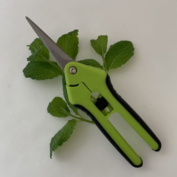 Secateur Fleur Droit