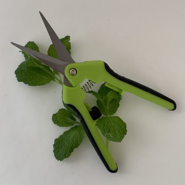 Secateur Fleur Droit – Image 2